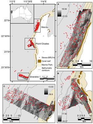 Testing the Improvement of Coral Reef Associated Fish Distribution Models Based on Multibeam Bathymetry by Adding Seafloor Backscatter Data